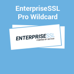 Enterprise Pro Wildcard SSL certificate